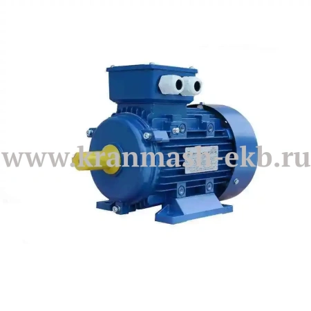 Электродвигатель АИР 200 L2 (45 кВт 3000 об/мин)